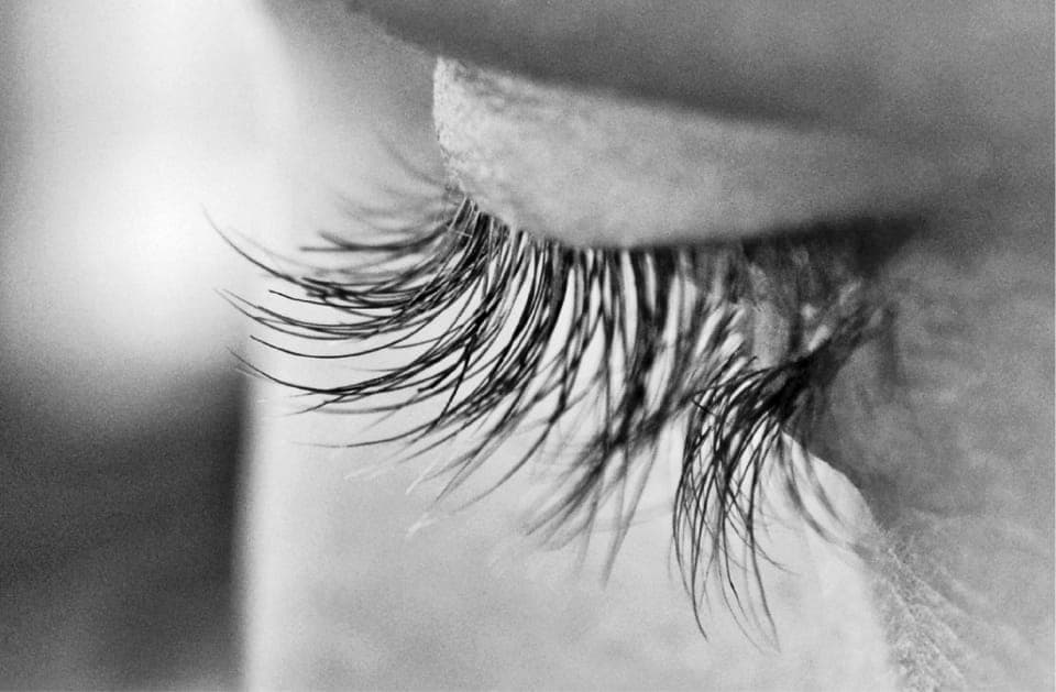 Gros plan sur un œil fermé et ses cils